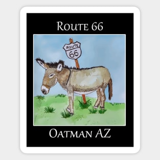 Cute baby donkey like you'd see on Route 66, in Oatman Arizona Magnet